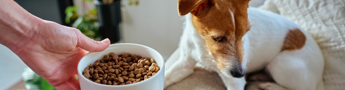 Design sem nome 2026 03 16T094957.803