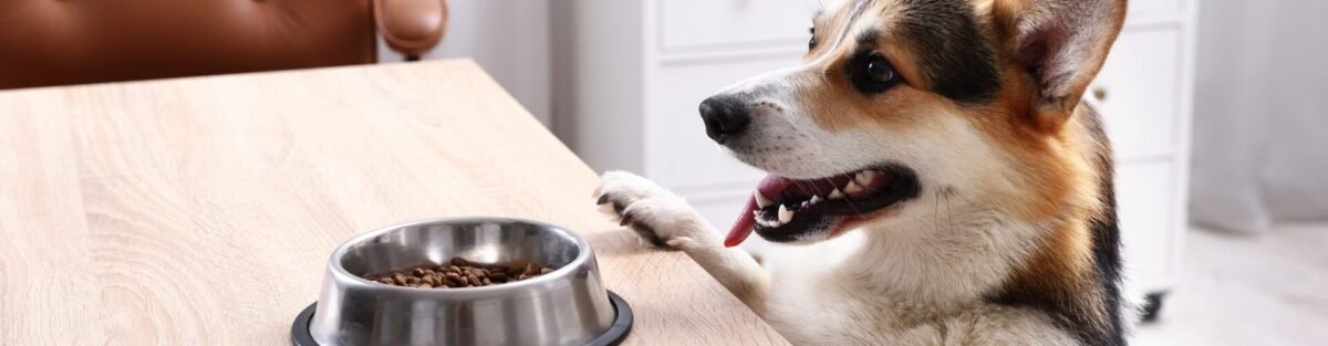 Design sem nome 2026 03 16T095457.082